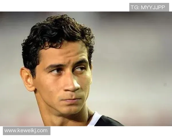 足球明星甘索精彩瞬间全景图集欣赏与解读